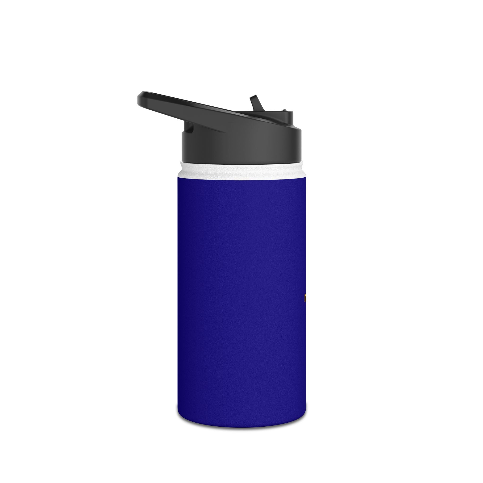 Stainless Water Bottle