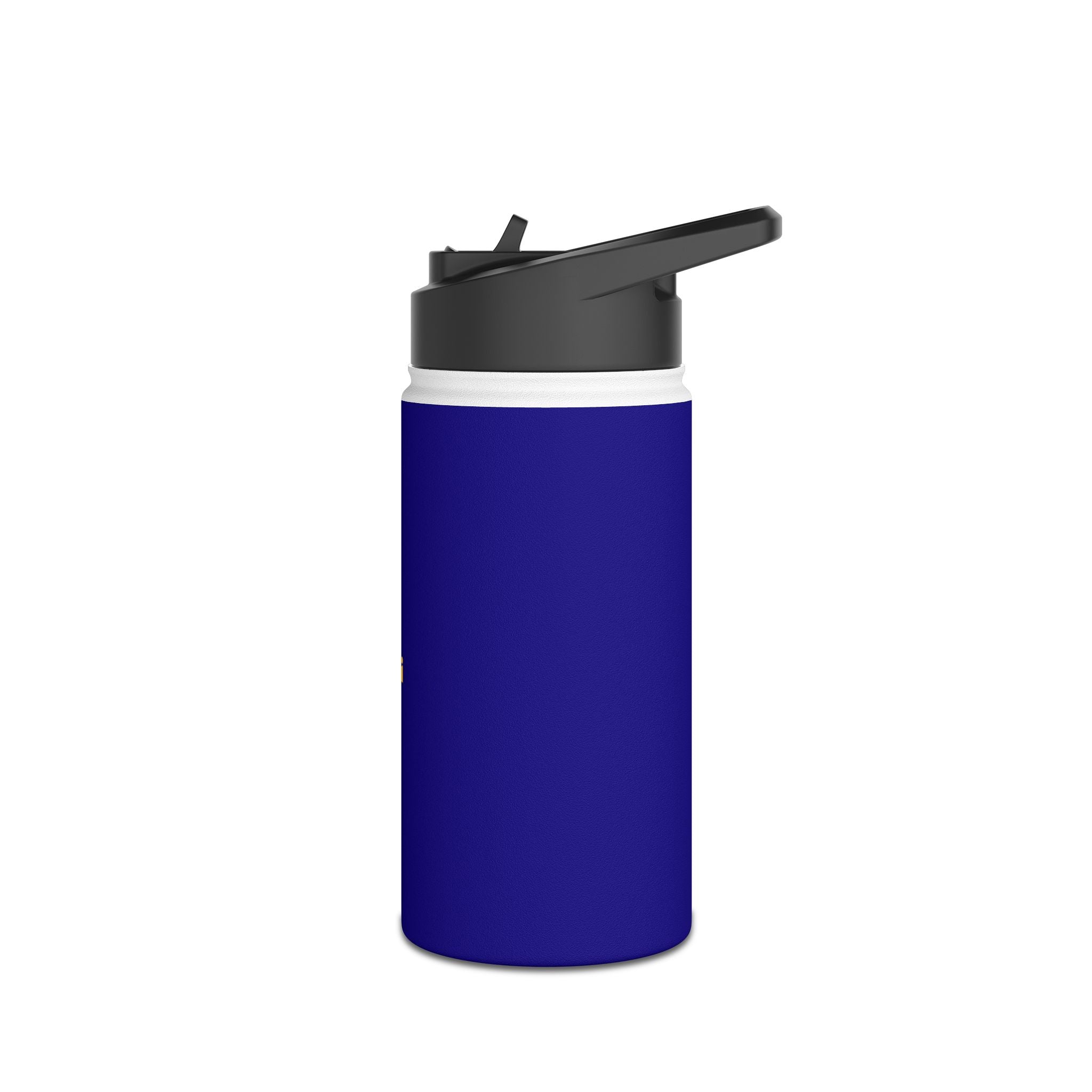 Stainless Water Bottle